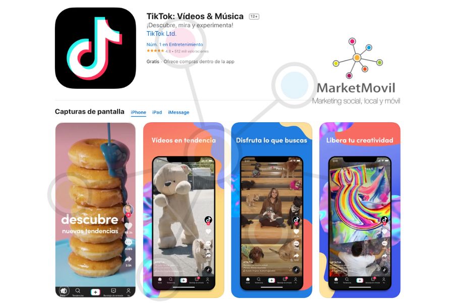 Tiktoks sin marca de agua
